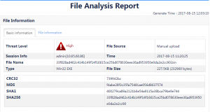 File analysis report with threat level.