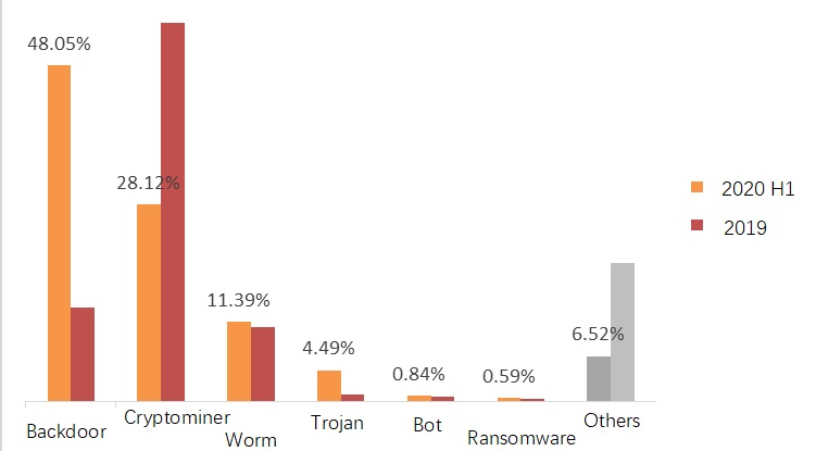 dns worm virus