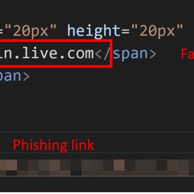 Code highlighting fake domain and phishing link.