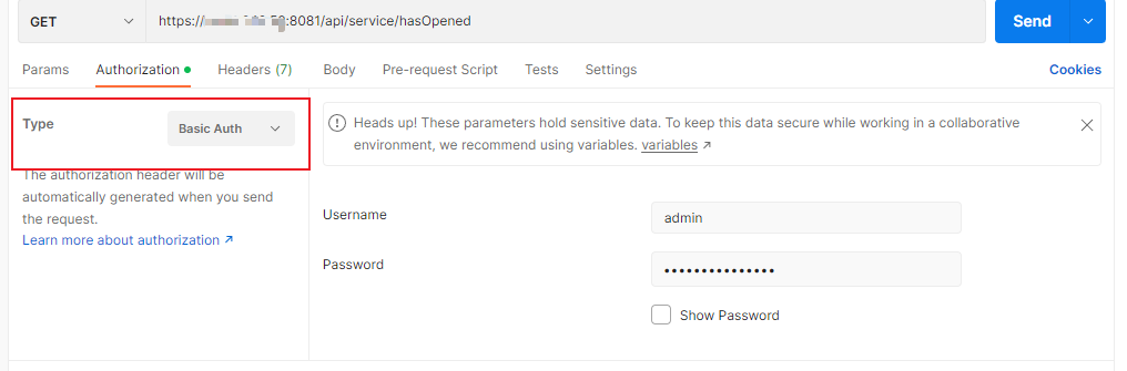 Authorization settings in an API request tool.