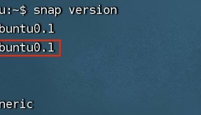 Terminal displaying Snap version information.