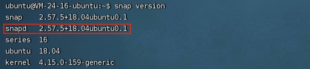 Terminal displaying Snap version information.