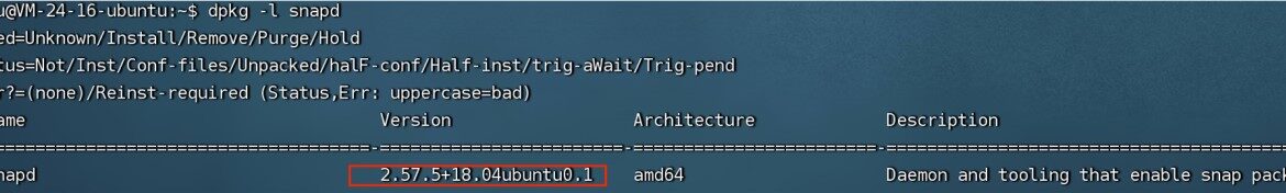 Terminal window displaying snapd package information.