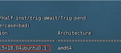 Terminal window displaying snapd package information.