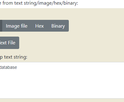 Text string input for Base64 encoding.