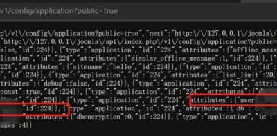 Code with highlighted "password" and "authorization" text.