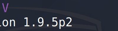 Terminal displaying Sudo version 1.9.5p2.