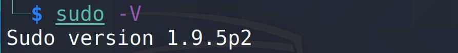Terminal displaying Sudo version 1.9.5p2.