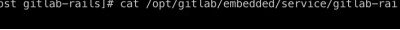 Command line showing GitLab version 11.0.6.