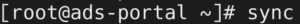 Terminal command prompt showing "sync".