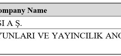 Table of company names and types.