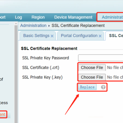 SSL certificate replacement settings interface screenshot.