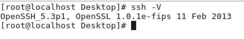 Terminal displaying OpenSSH and OpenSSL versions.