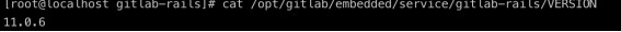 Terminal displaying GitLab version number 11.0.6.