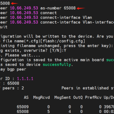 Network configuration display with BGP settings.
