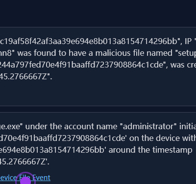 Digital security report showing malicious file details.