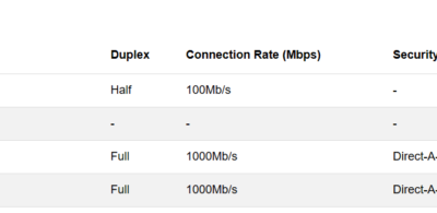 Network interface information table with data rates.