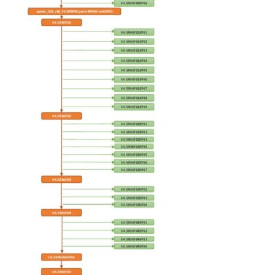 A detailed flowchart outlining a multi-step process with decision points and outcomes.